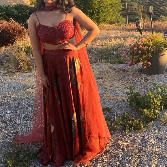 Beautiful red lehenga with red sequin blouse - Picture 9 of 10